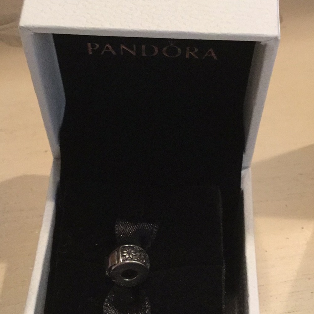 Pandora Charm